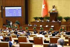 En el octavo período de sesiones de la XV legislatura de la Asamblea Nacional de Vietnam (Fuente: VNA)