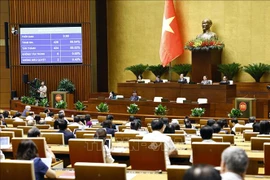 En el octavo período de sesiones de la XV legislatura de la Asamblea Nacional de Vietnam (Fuente: VNA)