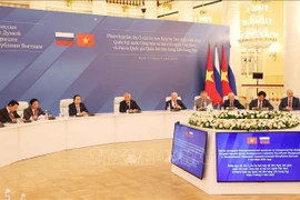 En la tercera reunión del Comité de Cooperación Interparlamentaria entre Vietnam y Rusia. (Fuente: VNA)