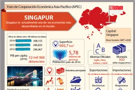 Singapur, uno de los miembros del APEC