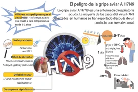 [Infografia] Gripe aviar A/H7N9