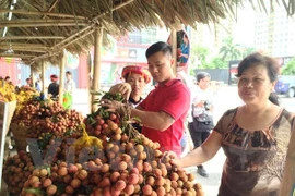 [Fotos] Semana de lichi en Hanoi