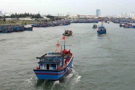 [Fotos] Vietnam realiza labores preventivas ante la llegada del poderoso tifón Doksuri