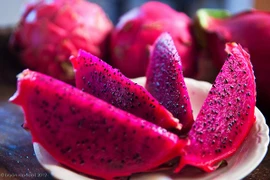 Pitahaya de pulpa roja de Vietnam presente en mayor feria alimentaria de Asia 