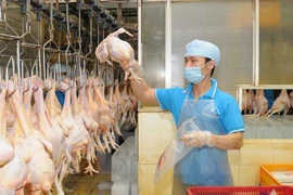 Vietnam exporta por primera vez productos de aves de corral