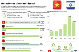 Gran avance de los nexos multifacéticos Vietnam- Israel