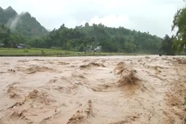 Vietnam sufre graves inundaciones