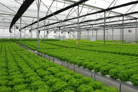 Buscan oportunidades entre Vietnam y Alemania en campo de tecnología verde