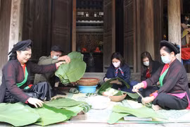 Reavivarán tradiciones del Año Nuevo Lunar en Vietnam