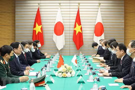 Abogan por vigorizar asociación estratégica profunda entre Vietnam y Japón 