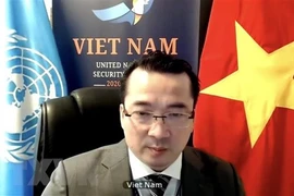 Vietnam pide respetar el alto el fuego en Libia