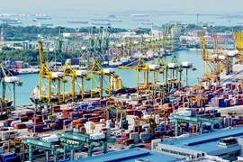Singapur acelera reducción de emisión de gas de buques marítimos