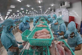 Vietnam se empeña en ampliar exportaciones de pangasius a Australia