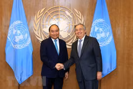 Impronta de Vietnam como miembro responsable de la ONU