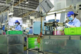 Empresas canadienses optimistas sobre perspectivas económicas a medio plazo de Vietnam 