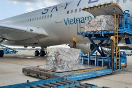 Recibe Vietnam otros 203 mil kits de prueba rápida de COVID-19 de Alemania