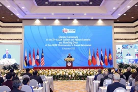 Experto indonesio aprecia éxitos alcanzados por Vietnam en 2020 