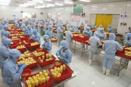 Exhortan a empresas vietnamitas a aprovechar oportunidades de exportación a Reino Unido