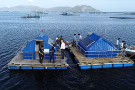 Australia aumenta inversión en sector de innovación de Vietnam