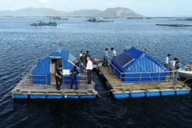 Australia aumenta inversión en sector de innovación de Vietnam