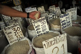 Reducen exportaciones de arroz de Tailandia en primer semestre