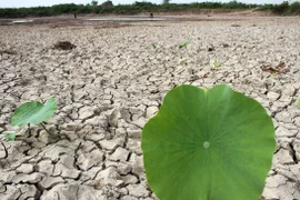 Cambio climático afecta a gran parte de la población de Camboya