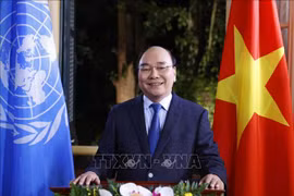 Alaban cumplimiento de Vietnam del mandato de miembro no permanente del CSNU