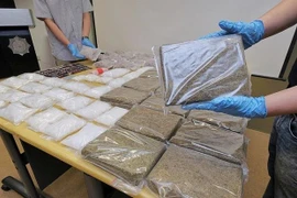 Singapur incauta la mayor cantidad de cannabis en 14 años