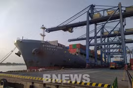 Vietnam recibe buques de carga extranjeros en primer día del Año Nuevo Lunar