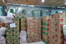 Consulesa honoraria de Sudáfrica apoya a hospitales de campaña vietnamitas