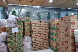 Consulesa honoraria de Sudáfrica apoya a hospitales de campaña vietnamitas