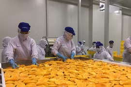 Estados Unidos se erige en el mayor exportador de productos agrícolas a Vietnam