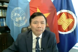 Vietnam aboga por solución integral para situación en Kosovo