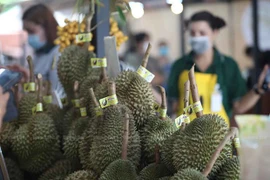 Surge una competición en Asia por ser principal productor mundial de durian