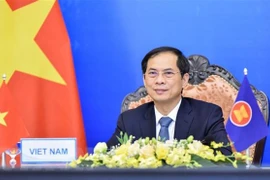 Visita a Rusia del canciller vietnamita fortalecerá la asociación estratégica integral bilateral