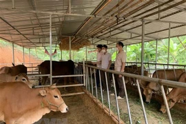Vietnam por reducir la pobreza multidimensional de manera sostenible