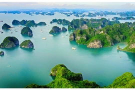 Ofrecen entrada graduita a Bahía de Ha Long de Vietnam