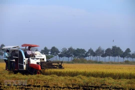 Vietnam por convertirse en suministrador global responsable de alimentos