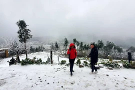 Nevada en localidades vietnamitas de Sa Pa y Fansipan