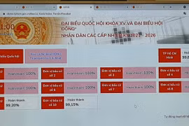 Ciudad Ho Chi Minh pone en funcionamiento prueba piloto de software electoral