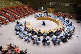 Vietnam exhorta a resolver desafíos de seguridad en África Occidental y el Sahel
