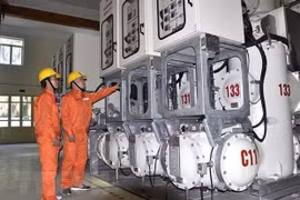 Empresa vietnamita logra ganancia por venta de electricidad