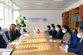 Abogan por apoyo continuo de ONU a Vietnam en impulso del desarrollo sostenible