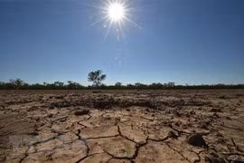 Establecen en Vietnam red de empresas para adaptarse al cambio climático