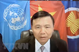 Delegación vietnamita ante la ONU celebra el Día Nacional