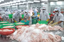 Provincia vietnamita trabaja por promover el desarrollo socioeconómico en 2021