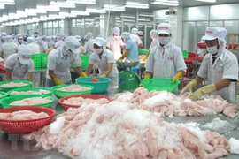 Provincia vietnamita trabaja por promover el desarrollo socioeconómico en 2021