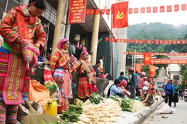 Abrirán en Hanoi mercado de etnias minoritarias de zonas montañosas 