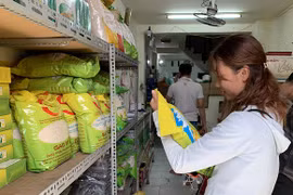 Potencian uso de la propiedad intelectual para pymes vietnamitas
