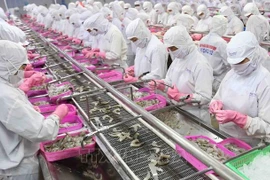 Numerosas empresas chinas interesadas en productos acuáticos vietnamitas